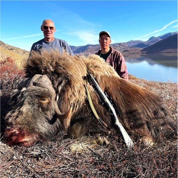 Greenland: 4-Day Muskox Hunt for 1 Hunter, Includes 1 Muskox. Special Offer: Upgrade to 2 Hunters!