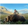 Image 2 : Greenland: 4-Day Muskox Hunt for 1 Hunter, Includes 1 Muskox. Special Offer: Upgrade to 2 Hunters!