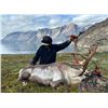 Image 7 : Greenland: 4-Day Muskox Hunt for 1 Hunter, Includes 1 Muskox. Special Offer: Upgrade to 2 Hunters!