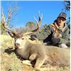 Image 1 : New Mexico: 4 Day Trophy Mule Deer rifle hunt for 2 hunters.
