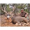 Image 2 : New Mexico: 4 Day Trophy Mule Deer rifle hunt for 2 hunters.
