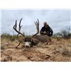 Image 3 : New Mexico: 4 Day Trophy Mule Deer rifle hunt for 2 hunters.