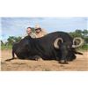 Image 4 : Argentina: 5 Day 4 Night Trophy Big Game Hunt for 1 Hunter, includes 1 Buffalo or 1 Red Stag
