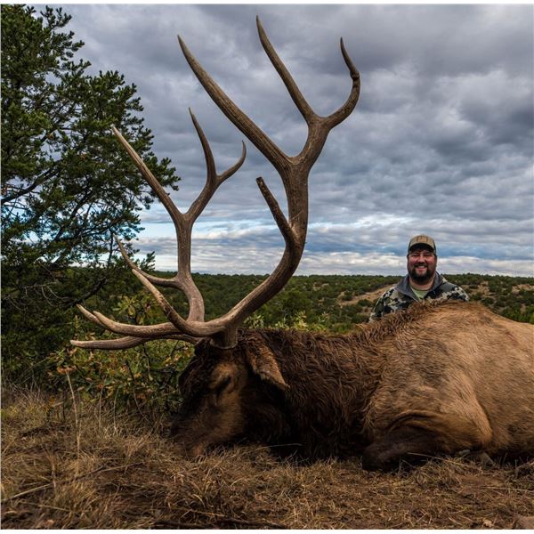 New Mexico: 5 Day Elk/Bear Combination rifle hunt for 2 hunters.