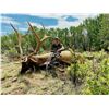 Image 3 : New Mexico: 5 Day Elk/Deer/Bear Combination Archery hunt for 2 hunters