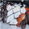 Image 2 : Alaska Fishing Adventures LLC, One Day Saltwater Fishing Charter for 14 Anglers out of Seward, AK