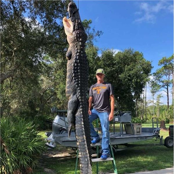 Florida: 3 Day, 2 Night Alligator & Hog Hunt for 2 Hunters. 1 Alligator & 2 Hogs Included.