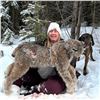 Image 1 : British Columbia: 5-Day Exclusive Lynx Hunt with Hounds for 1 Hunter