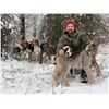 Image 3 : British Columbia: 5-Day Exclusive Lynx Hunt with Hounds for 1 Hunter
