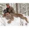 Image 4 : British Columbia: 5-Day Exclusive Lynx Hunt with Hounds for 1 Hunter