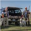 Image 6 : Oregon: Upland Bird Hunting Package for 4 Hunters that Includes 12 Birds Per Day Per Hunter. WOW!