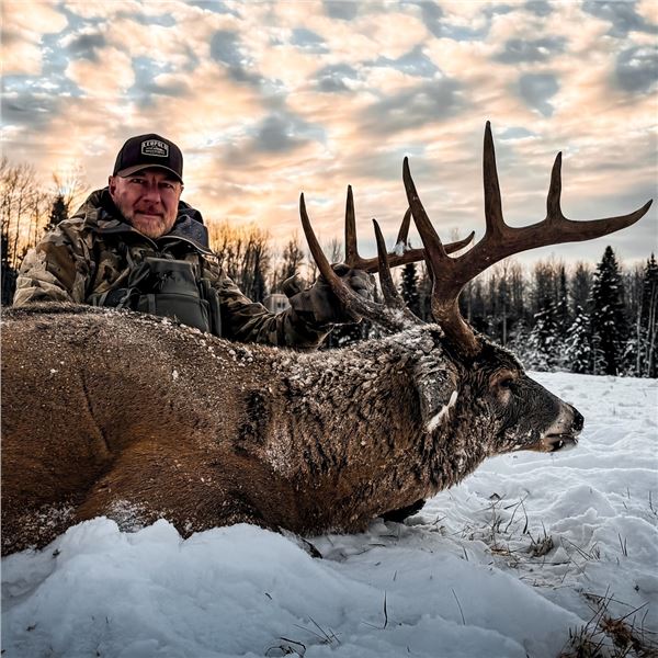 Alberta: 7 Day Trophy Whitetail Deer Hunt for 2 Hunters, includes 1 Trophy Whitetail Buck per Hunter