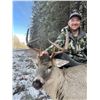 Image 4 : Alberta: 7 Day Trophy Whitetail Deer Hunt for 2 Hunters, includes 1 Trophy Whitetail Buck per Hunter