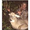 Image 2 : Alberta: 7 Day Archery Whitetail deer hunt for 2 Hunters, includes 1 Buck & Predators per hunter
