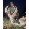 Image 3 : Alberta: 7 Day Archery Whitetail deer hunt for 2 Hunters, includes 1 Buck & Predators per hunter