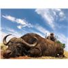 Image 2 : South Africa: 7 Day Cape Buffalo Hunt for One Hunter / Includes $5,000 Trophy Fee Credit