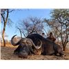 Image 3 : South Africa: 7 Day Cape Buffalo Hunt for One Hunter / Includes $5,000 Trophy Fee Credit