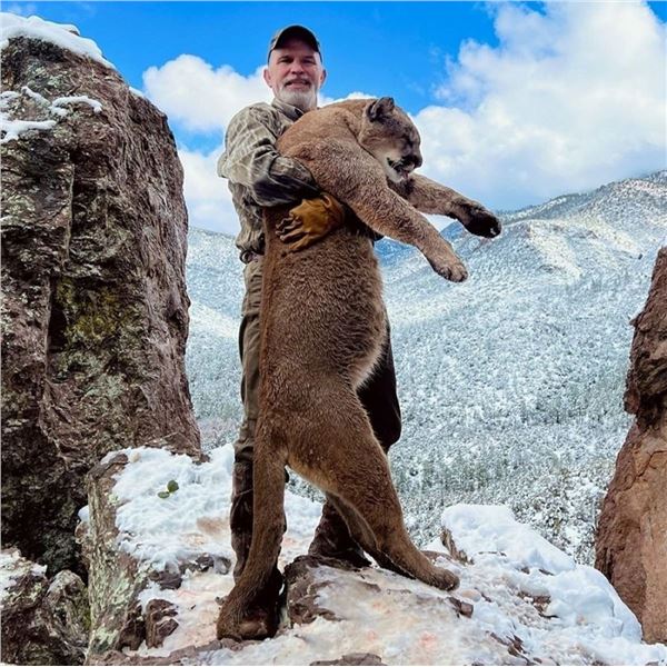 Arizona: 5-Day Trophy Mountain Lion Hunt w/ Hounds
