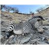 Image 12 : Namibia: 9 D Plainsgame Hunt for 2 Hunters , Includes two  Gemsbok, and a day Etosha Park.