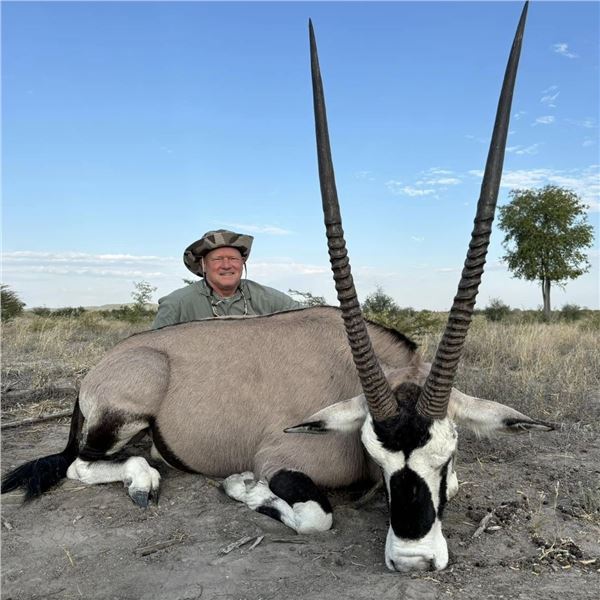 Namibia: 9 D Plainsgame Hunt for 2 Hunters , Includes two  Gemsbok, and a day Etosha Park.