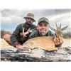 Image 3 : Namibia: 9 D Plainsgame Hunt for 2 Hunters , Includes two  Gemsbok, and a day Etosha Park.