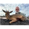 Image 7 : Namibia: 9 D Plainsgame Hunt for 2 Hunters , Includes two  Gemsbok, and a day Etosha Park.