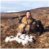 Image 11 : Alaska: 8 Day 7 Night Lodging plus Spring Bear Or Winter DIY Ptarmigan/Predator Hunting for 2 People