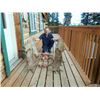 Image 12 : Alaska: 8 Day 7 Night Lodging plus Spring Bear Or Winter DIY Ptarmigan/Predator Hunting for 2 People