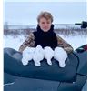 Image 14 : Alaska: 8 Day 7 Night Lodging plus Spring Bear Or Winter DIY Ptarmigan/Predator Hunting for 2 People