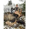 Image 16 : Alaska: 8 Day 7 Night Lodging plus Spring Bear Or Winter DIY Ptarmigan/Predator Hunting for 2 People