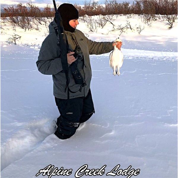 Alaska: 8 Day 7 Night Lodging plus Spring Bear Or Winter DIY Ptarmigan/Predator Hunting for 2 People