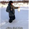 Image 1 : Alaska: 8 Day 7 Night Lodging plus Spring Bear Or Winter DIY Ptarmigan/Predator Hunting for 2 People