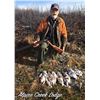 Image 5 : Alaska: 8 Day 7 Night Lodging plus Spring Bear Or Winter DIY Ptarmigan/Predator Hunting for 2 People