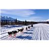 Image 8 : Alaska: 8 Day 7 Night Lodging plus Spring Bear Or Winter DIY Ptarmigan/Predator Hunting for 2 People