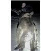 Image 3 : Alberta: 9 Day Wolf and Coyote predator hunt for 1 Hunter, including the trophy fee for 1 wolf.