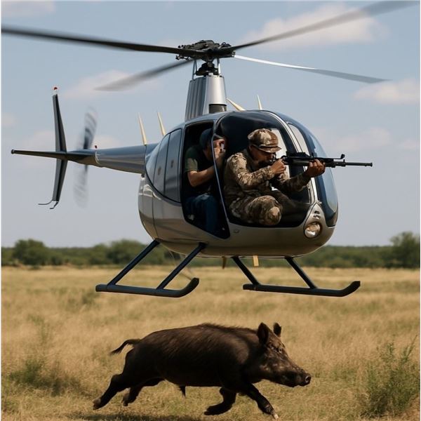 Texas:  Helicopter Hog Hunt for 2 Hunters, Includes 2 hr. Flight time and 1 Nights Lodging.