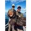 Image 10 : Alaska: 6 Day 5 Night DIY Prince William Sound Combo Fishing Charter & Hunt Transport for 3 Hunters!