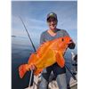 Image 7 : Alaska: 6 Day 5 Night DIY Prince William Sound Combo Fishing Charter & Hunt Transport for 3 Hunters!