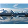 Image 9 : Alaska: 6 Day 5 Night DIY Prince William Sound Combo Fishing Charter & Hunt Transport for 3 Hunters!