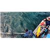 Image 16 : Alaska: Waterfall Resorts 4 Day 3 Night All-Inclusive 5 Star Fishing Vacation Package for 2 Anglers!