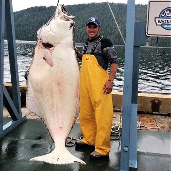 Alaska: Waterfall Resorts 4 Day 3 Night All-Inclusive 5 Star Fishing Vacation Package for 2 Anglers!