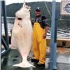 Image 1 : Alaska: Waterfall Resorts 4 Day 3 Night All-Inclusive 5 Star Fishing Vacation Package for 2 Anglers!