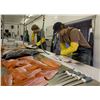 Image 23 : Alaska: Waterfall Resorts 4 Day 3 Night All-Inclusive 5 Star Fishing Vacation Package for 2 Anglers!