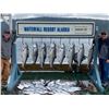 Image 5 : Alaska: Waterfall Resorts 4 Day 3 Night All-Inclusive 5 Star Fishing Vacation Package for 2 Anglers!