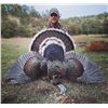 Image 1 : Mexico: 3 Day 4 Night Fully Guided Gould's Turkey Hunt for 2 Hunters