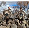 Image 4 : Mexico: 3 Day 4 Night Fully Guided Gould's Turkey Hunt for 2 Hunters
