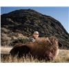 Image 5 : New Zealand: 5 Day Trophy Hunt for 2 Hunters & 2 Observers, including a $9,000 Trophy Free Credit
