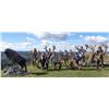 Image 6 : New Zealand: 5 Day Trophy Hunt for 2 Hunters & 2 Observers, including a $9,000 Trophy Free Credit