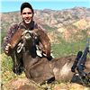 Image 4 : Mexico: Sonora 8 Day Trophy Mule Deer Hunt for 2 Hunters, Includes 1 175+ trophy buck per hunter.