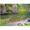 Image 4 : Alaska: 5 Day Spectacular fully guided rainbow trout and salmon fly-fishing adventure for 1 Angler.